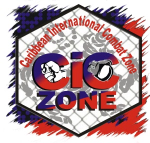 CiC Zone Store